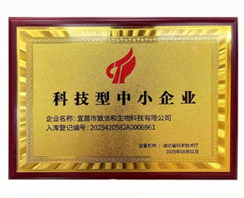 国家科技型中小企业
