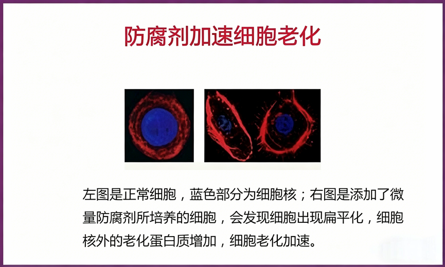 0e91092c-2ab8-4046-9efb-294584da906d